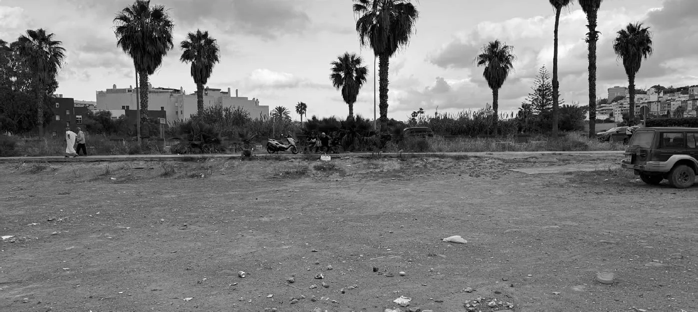 Street frontage of the plot, with palm trees and residential buildings behind